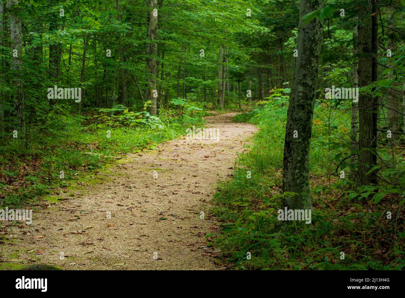 Door County Wisconsin ist eines der Top-Reiseziele für Touristen, Reisen und Wohnmobile im Mittleren Westen. Mit unbegrenzten Möglichkeiten für verschiedene Wanderungen. Stockfoto