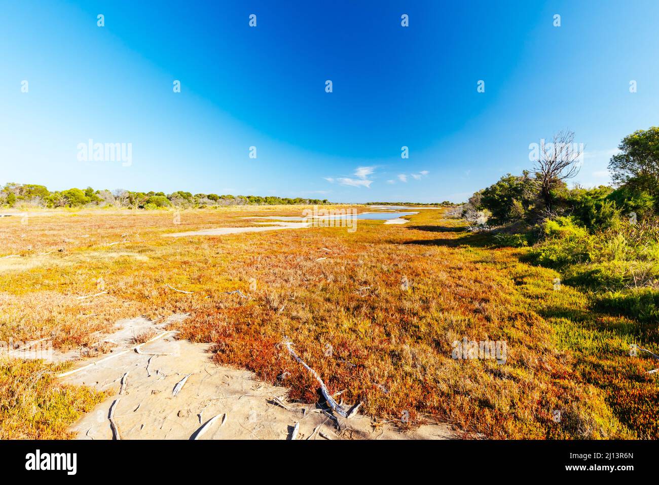 Edwards Point Wildlife Reserve in Australien Stockfoto