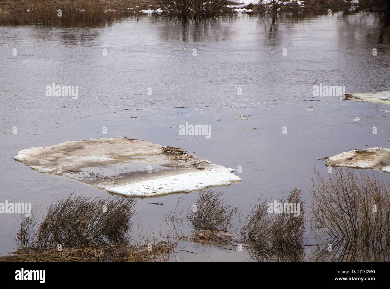 Nahaufnahme von schmutzigen Eisschollen schweben auf dem Fluss. Frühling, Schnee schmilzt, trockenes Gras rundherum, Überschwemmungen beginnen und der Fluss überfließt. Tag, bewölktes Wetter, weiches warmes Licht. Stockfoto