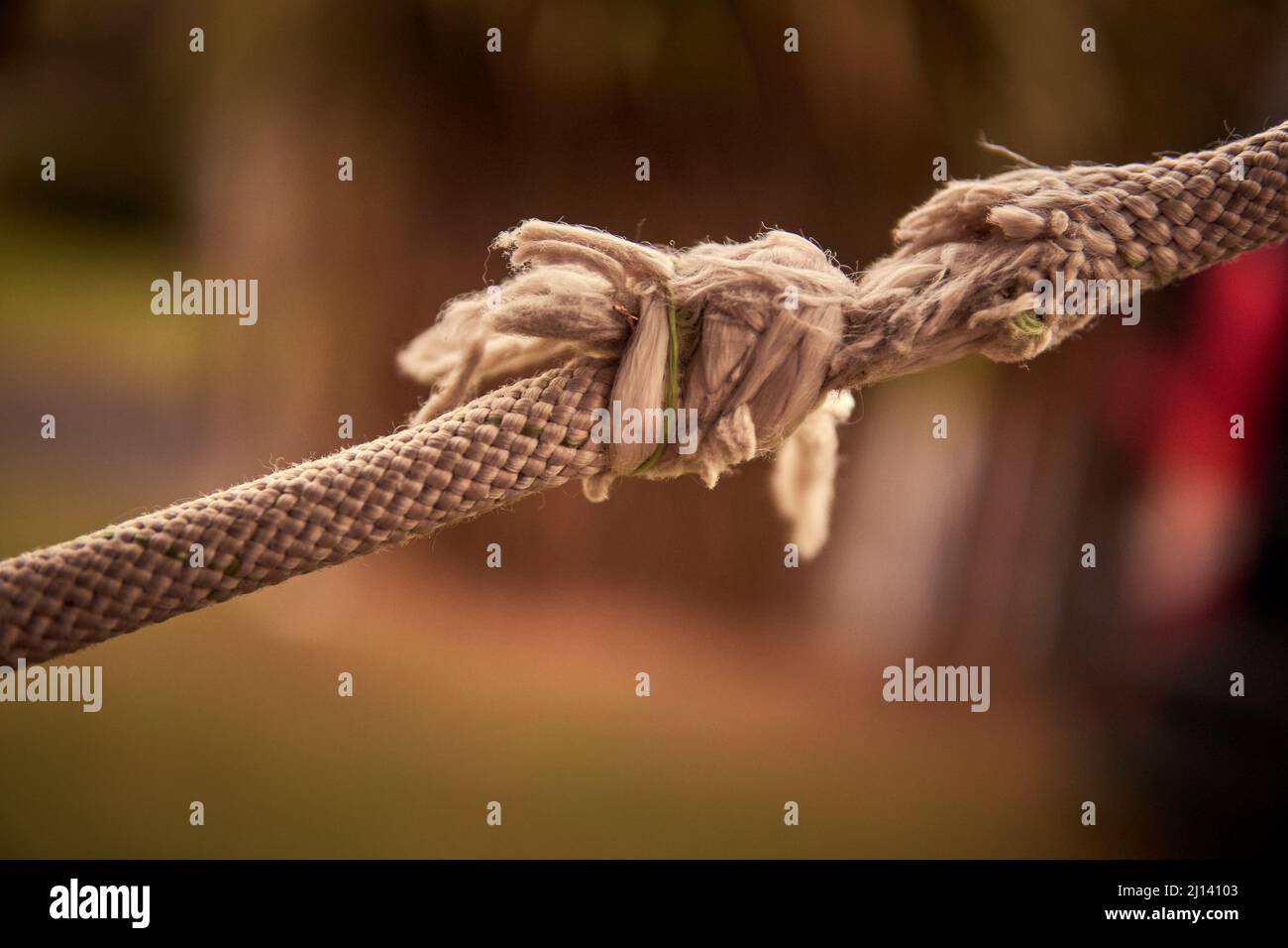 Nahaufnahme eines Schnitts und ausgefransten Seils, um mit verschwommenem Hintergrund zu brechen und Raum zu kopieren. Horizontal. Konzept der Probleme, Stress. Stockfoto