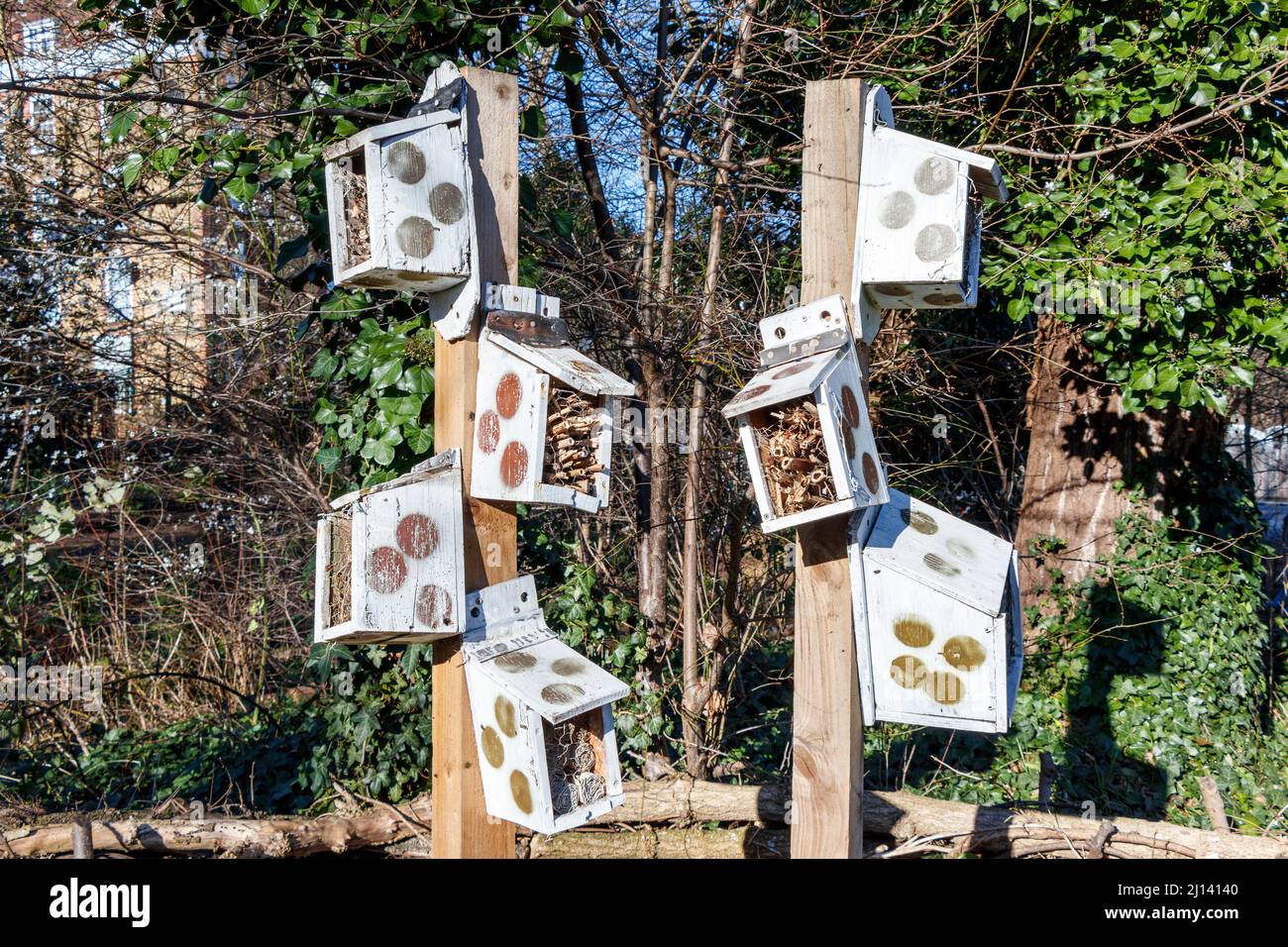 EIN „Insektenhotel“ in Sunnyside Gardens, North London, Großbritannien. Die Boxen bieten Insekten und anderen Insekten einen überwintern Lebensraum Stockfoto