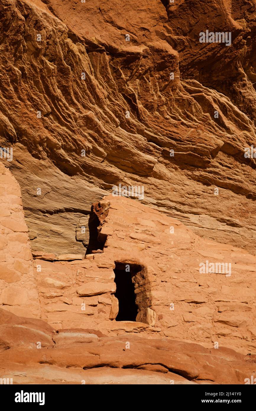 Eine alte 1.000 Jahre alte Ancestral Puebloan Klippe, die im Lower Mule Canyon auf Cedar Mesa in der Shash Jaa Unit of the Bears Ears National Monume wohnt Stockfoto