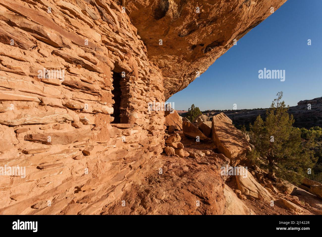 Eine alte 1.000 Jahre alte Ancestral Puebloan Klippe, die im Lower Mule Canyon auf Cedar Mesa in der Shash Jaa Unit of the Bears Ears National Monume wohnt Stockfoto