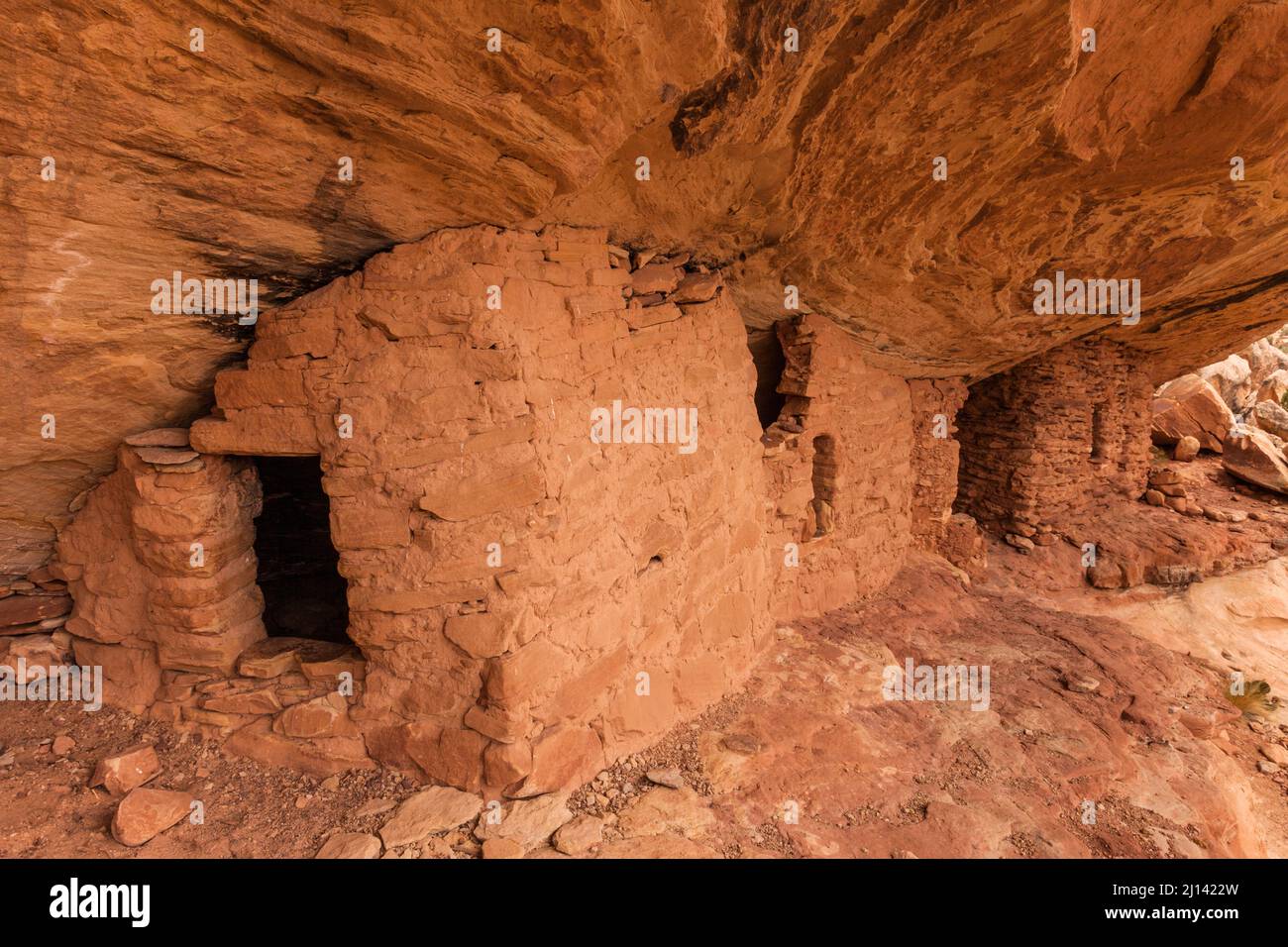 Eine alte 1.000 Jahre alte Ancestral Puebloan Klippe, die im Lower Mule Canyon auf Cedar Mesa in der Shash Jaa Unit of the Bears Ears National Monume wohnt Stockfoto