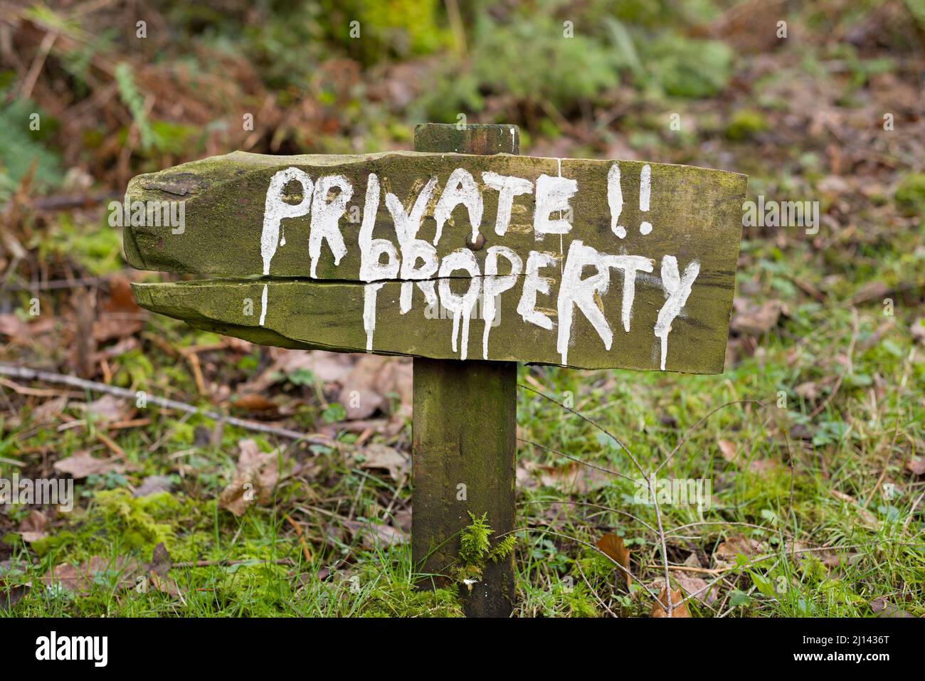 Ein handbemaltes Schild für Privateigentum im Wald. Stockfoto