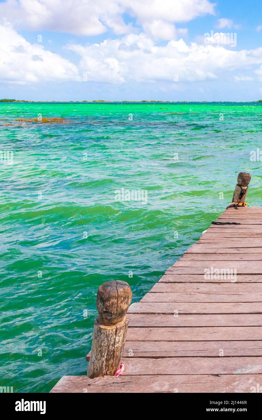 Erstaunlicher natürlicher Panoramablick auf die Muyil Lagune im tropischen Dschungel Naturwald mit Booten Anlegestelle Menschen farbenfroh türkisfarbenes Wasser Sian Ka'an Nat Stockfoto