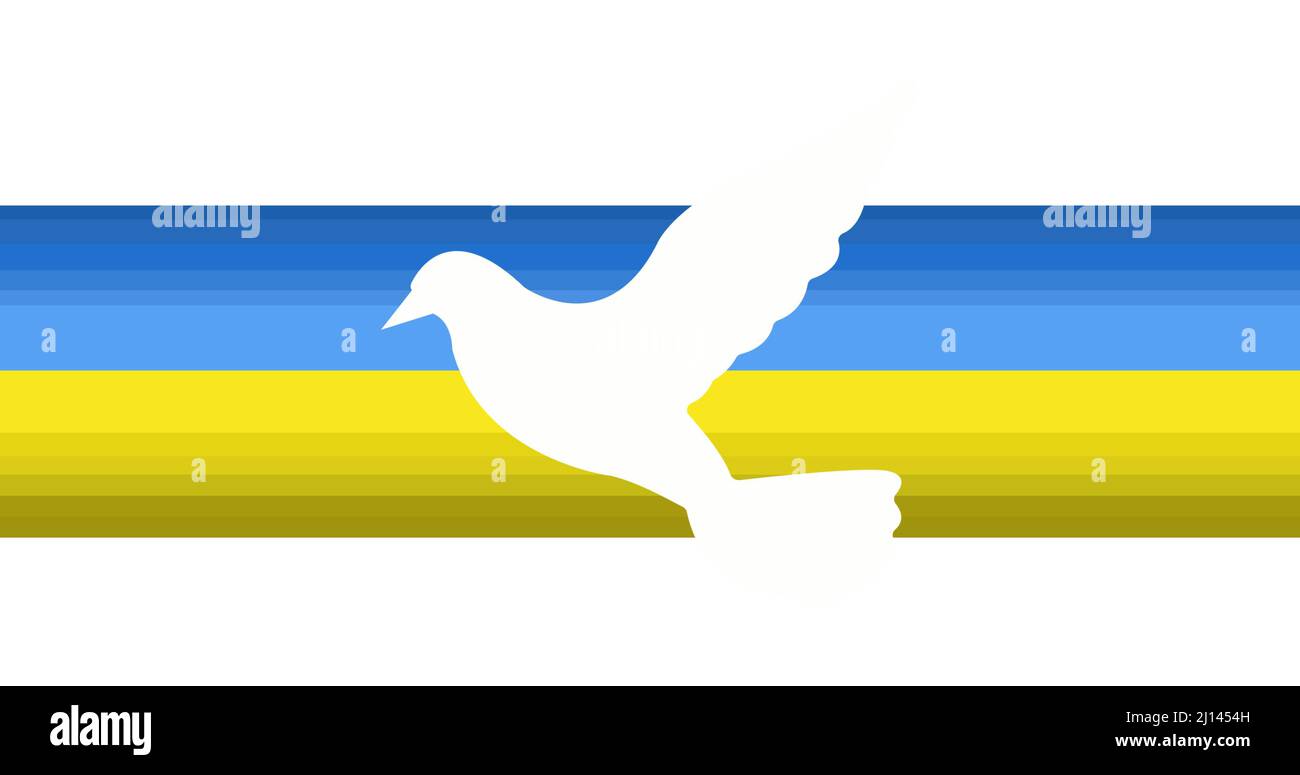 Taube auf gelber und blauer ukrainischer Flagge auf weißem Hintergrund mit  Kopierfläche Stockfotografie - Alamy