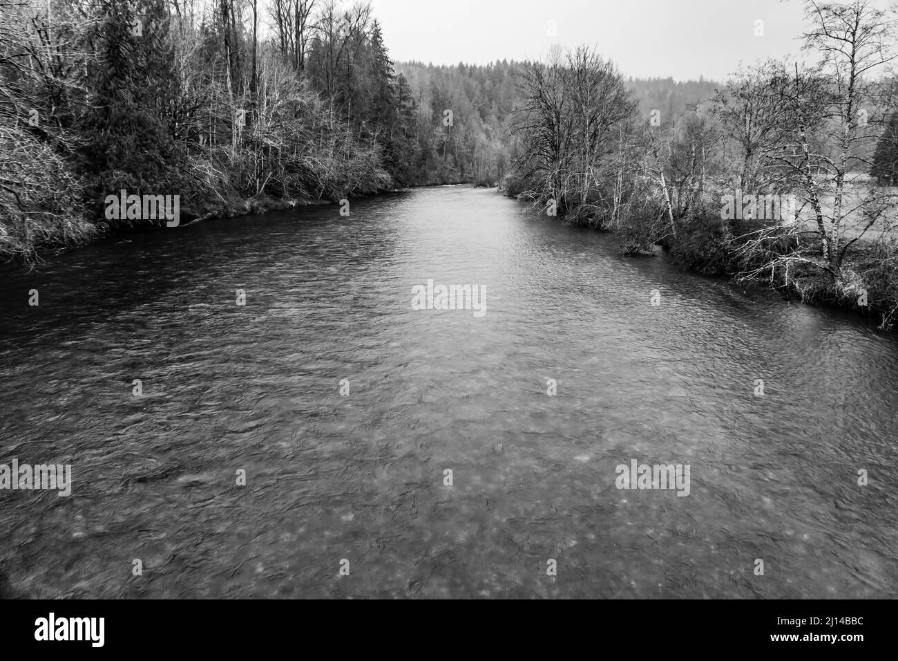 Entspringen Sie dem Green River im Bundesstaat Washington. Stockfoto