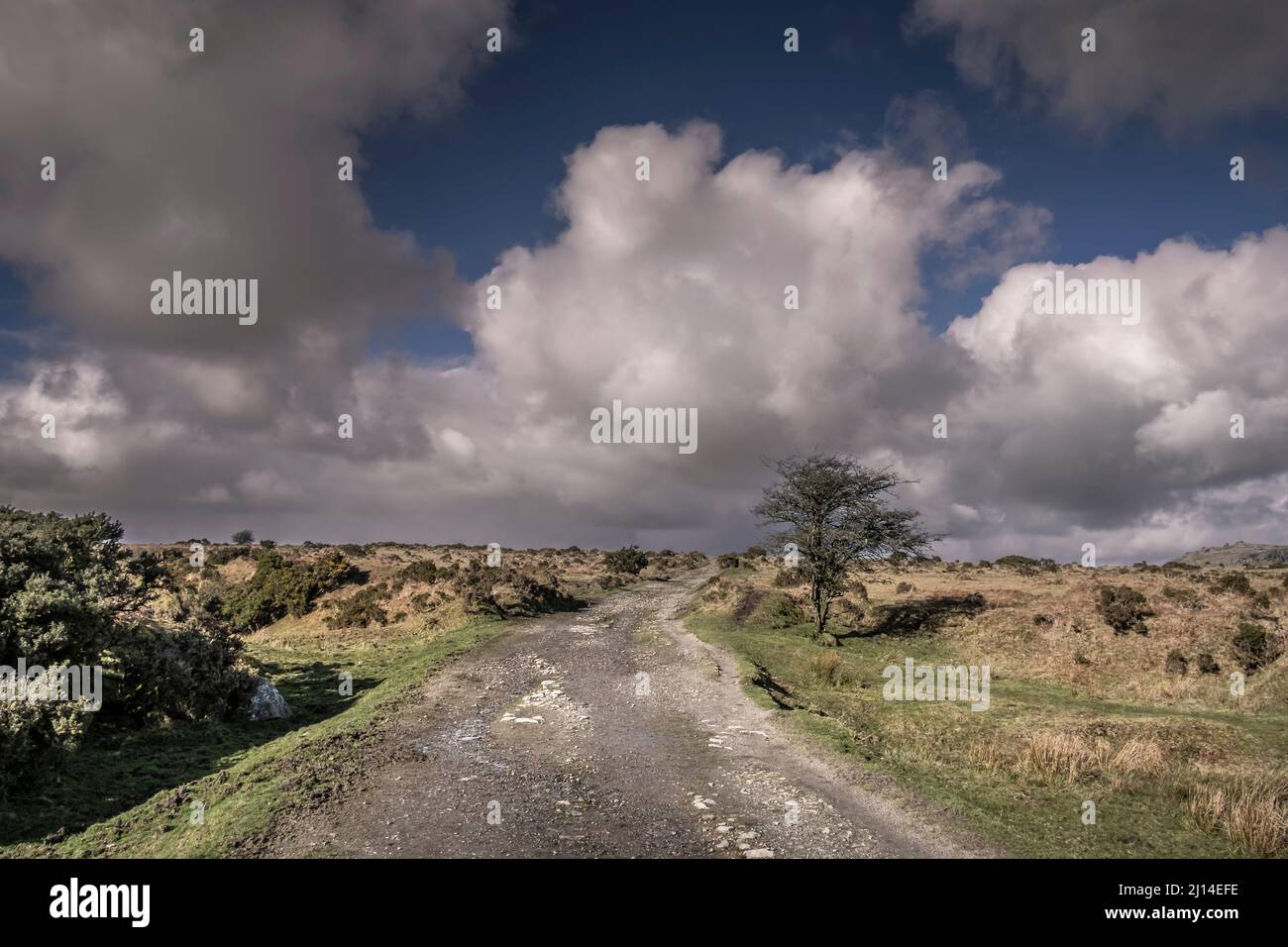 Die Überreste einer stillgeblachten Eisenbahnstrecke, die jetzt als Wanderweg über Craddock Moor auf Bodmin Moor in Cornwall, Großbritannien, genutzt wird. Stockfoto