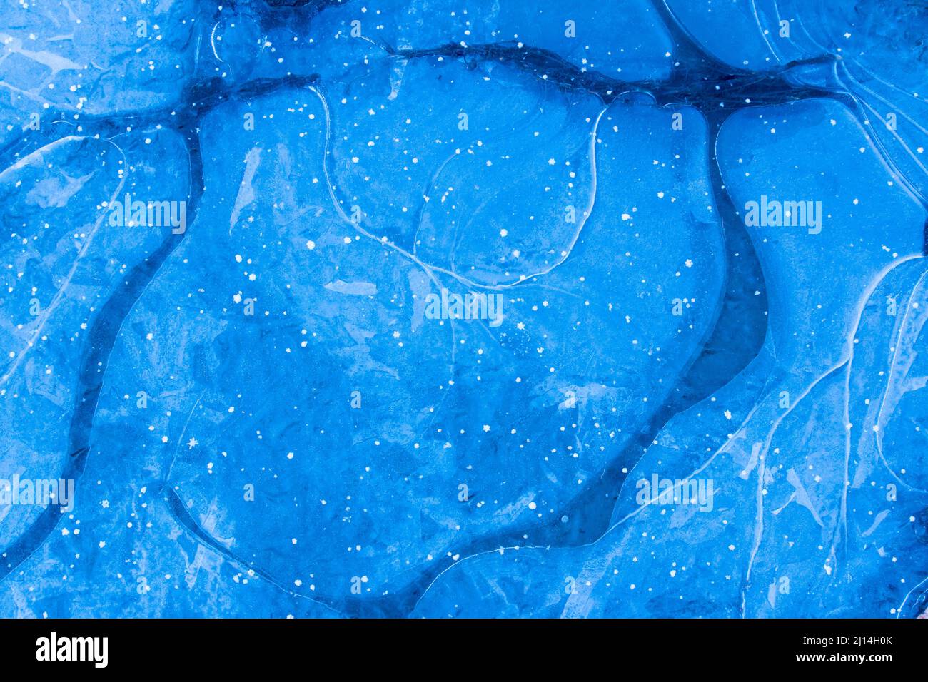 Eismuster in einem Waldbecken in den Pocono Mountains in Pennsylvania Stockfoto
