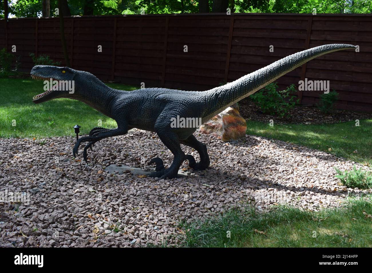 DINO PARK, KHARKOV - 8. AUGUST 2021: Tagesansicht der wunderschönen Dinosaurier-Skulptur im Park. Der aggressive Velociraptor erscheint in Jurassic Par Stockfoto