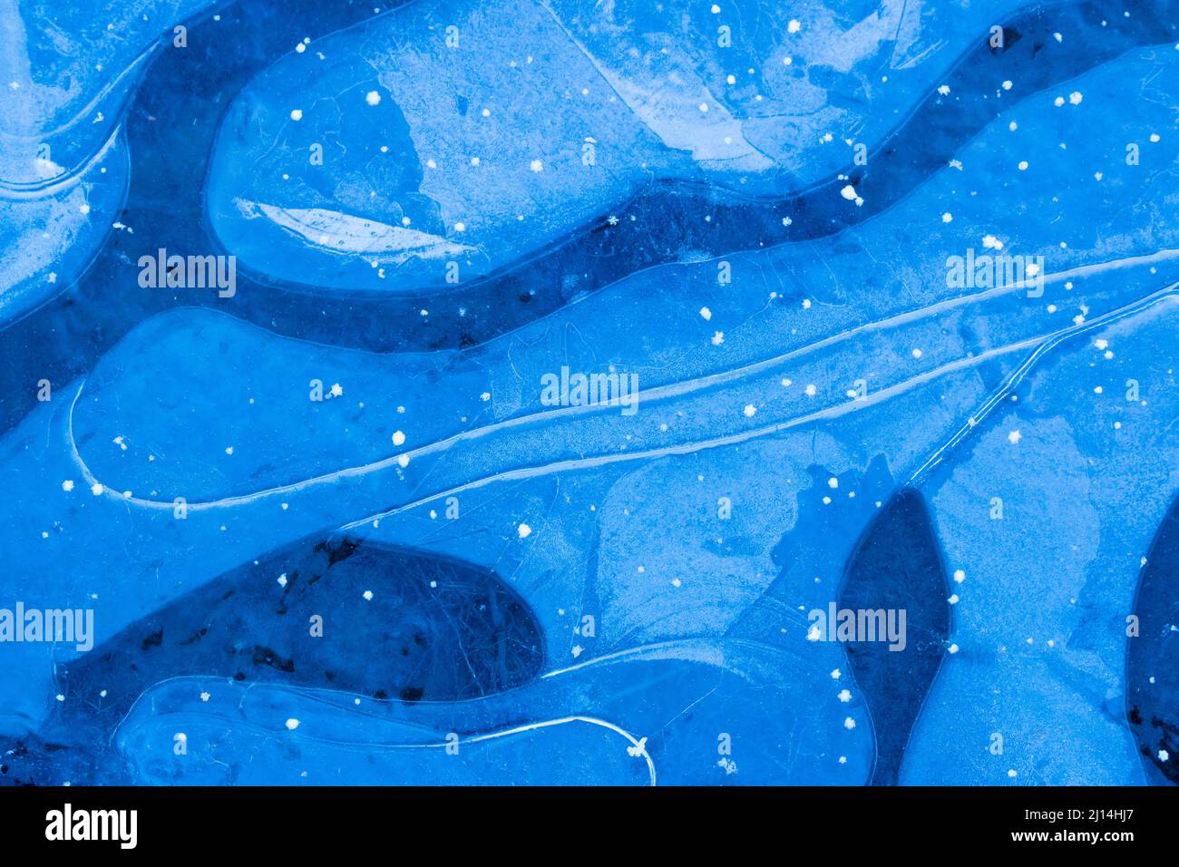 Eismuster in einem Waldbecken in den Pocono Mountains in Pennsylvania Stockfoto