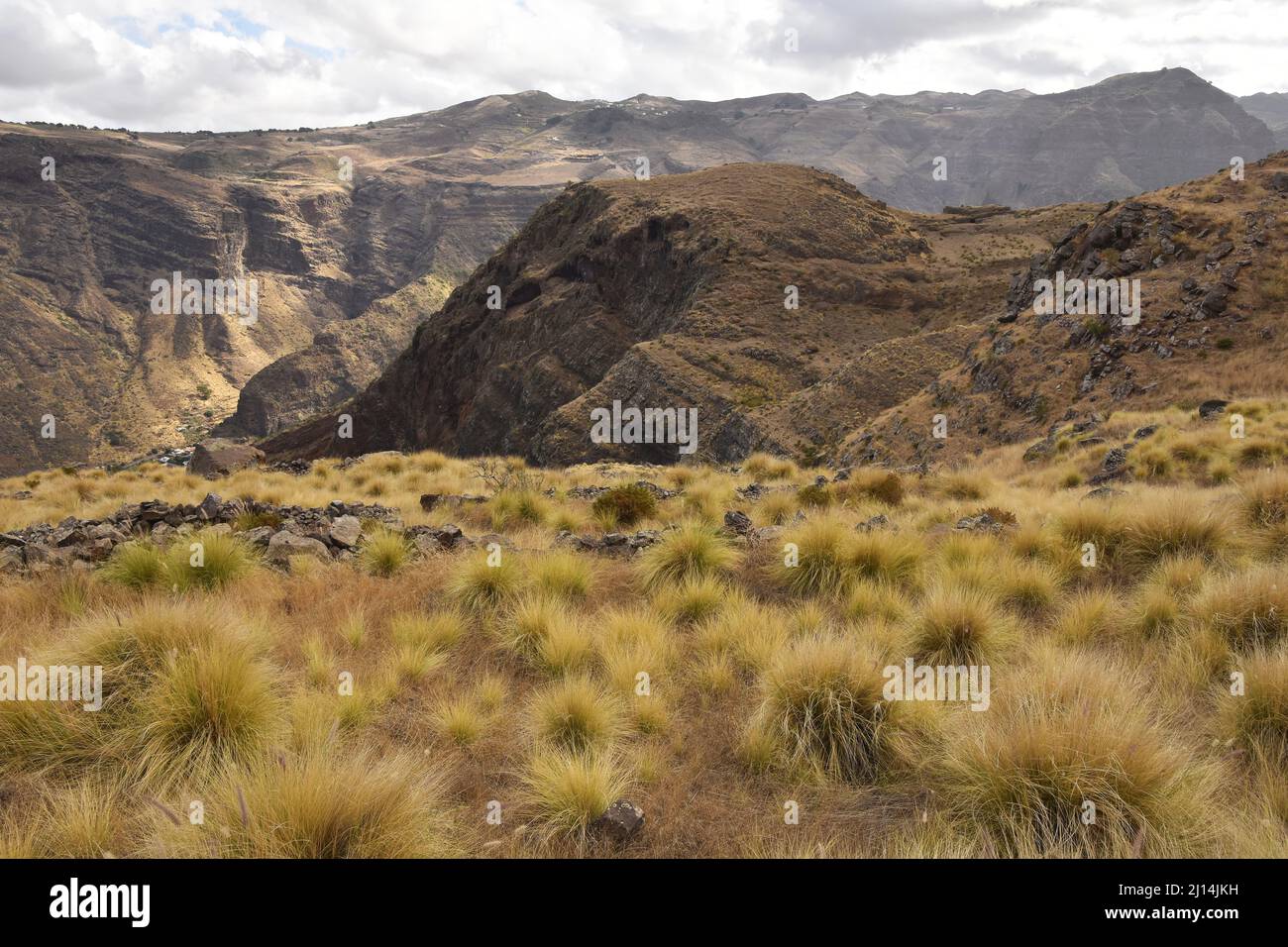 Grasbewachsene Landschaft mit ariden vulkanischen Bergen in der Nähe von Agaete im Nordwesten von Gran Canaria Kanarische Inseln Spanien. Stockfoto