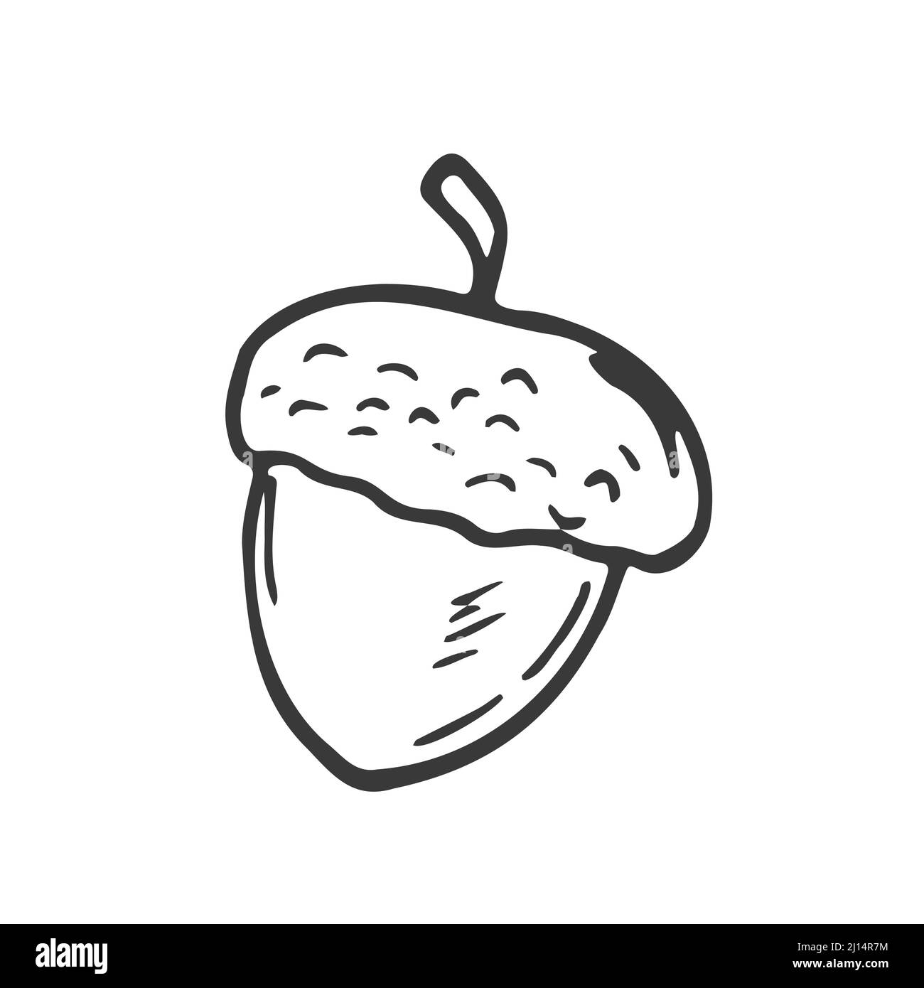 Lineare Cartoon handgezeichnete Eichel. Niedliche rasterschwarze und weiße Doodle-Eichel. Isolierte monochrome Eichel Stock Vektor