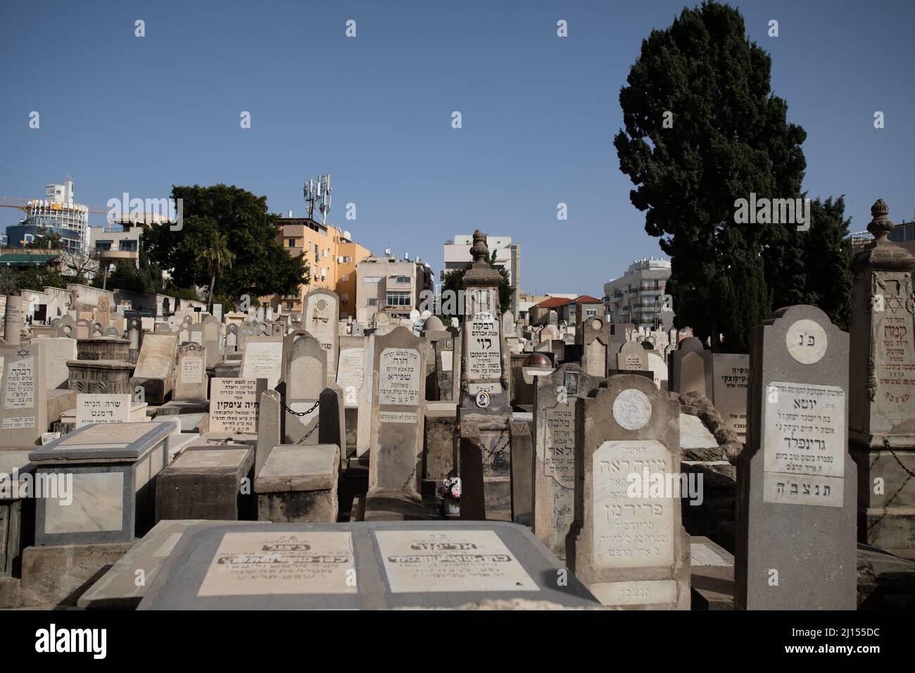 Der historische Trumpeldor-Friedhof in Tel Aviv, auch bekannt als „Alter Friedhof“, enthält Gräber von Israels großen Dichtern, Politikern und Künstlern. Stockfoto