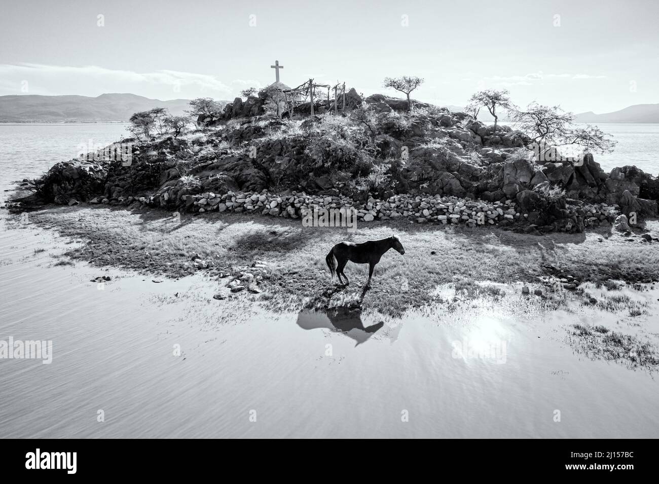 Schwarz-weißes Bild eines Pferdes auf einer Insel mit einem Schrein für die Fischer, Lake Cuitzeo, Michoacan, Mexiko. Stockfoto
