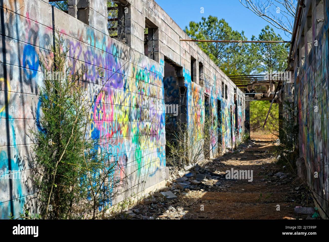 Die Ad-Hanna-Schule wurde in den 1960er Jahren für widerspenstige Studenten in Alabama gegründet, aber jetzt sind die Ruinen mit Graffiti bedeckt und der Natur überlassen. Stockfoto