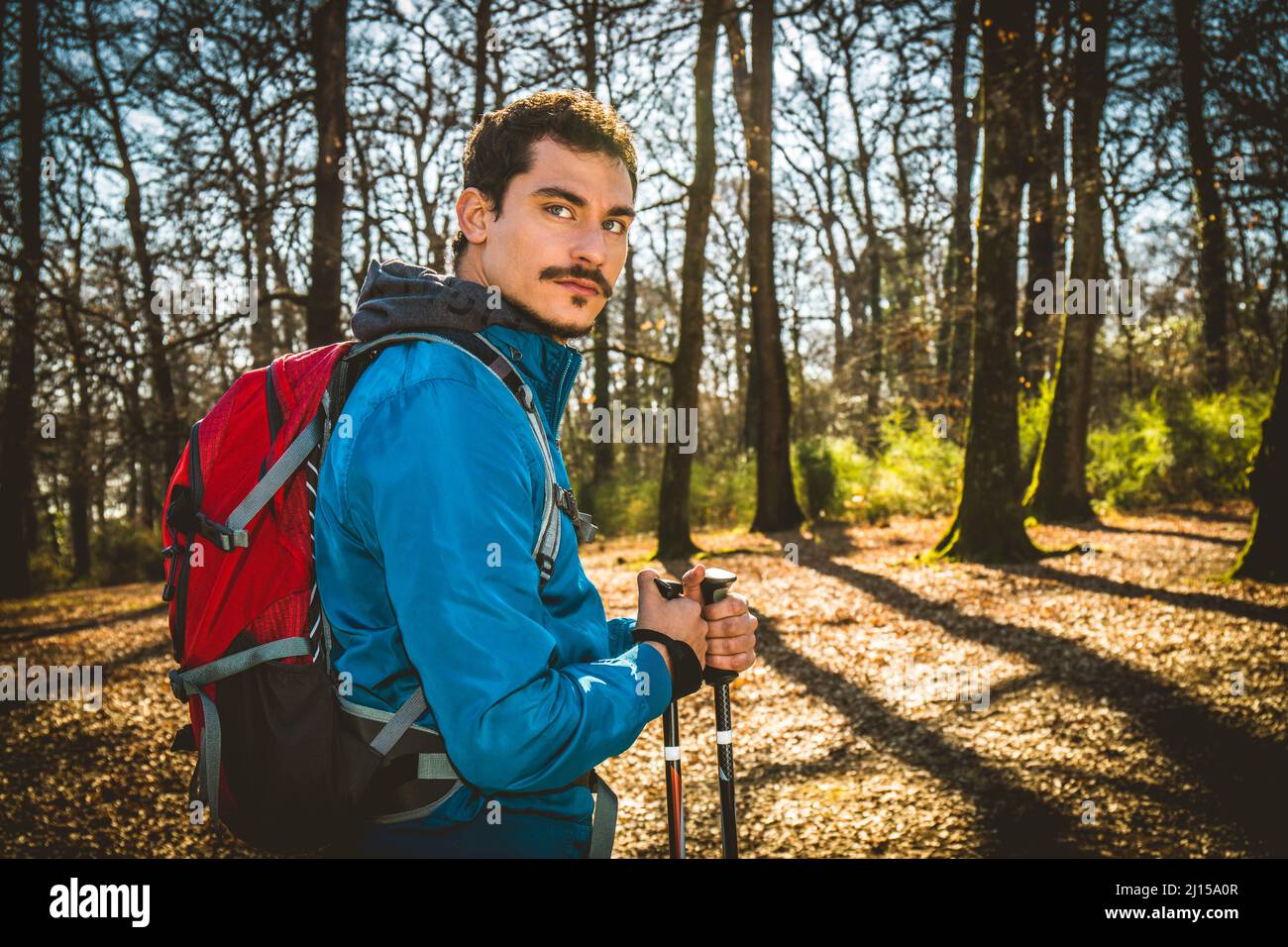 Junger Mann wandert im Wald. Der gutaussehende Mann hat eine blaue Jacke, einen roten Rucksack und Trekkingstöcke. Stockfoto
