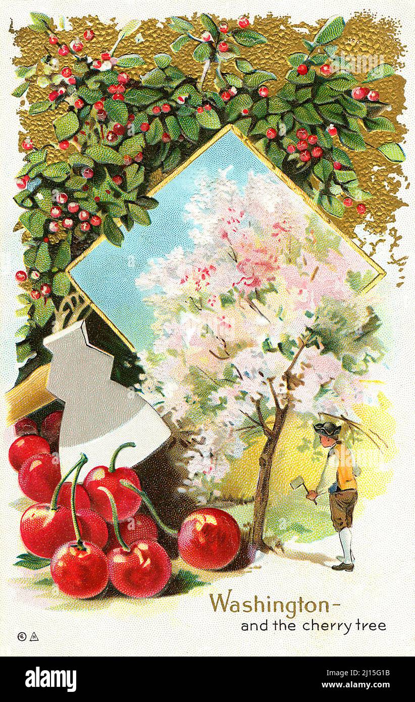 Vintage US-Postkarte mit George Washington und dem Kirschbaum. Stockfoto