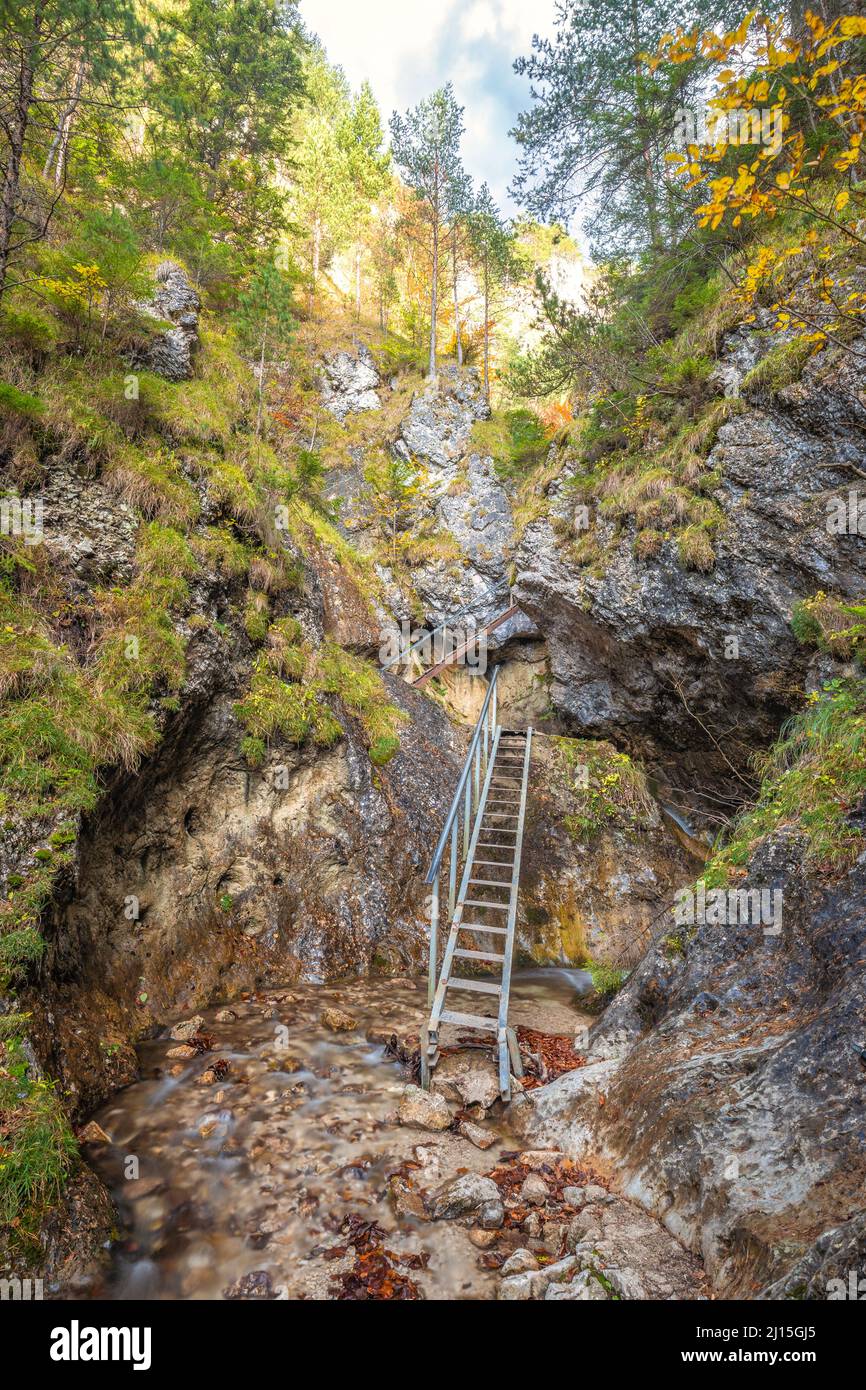 Leiter auf einem Wanderweg in einer felsigen Schlucht. Das Vratna-Tal im Nationalpark Mala Fatra, Slowakei, Europa. Stockfoto