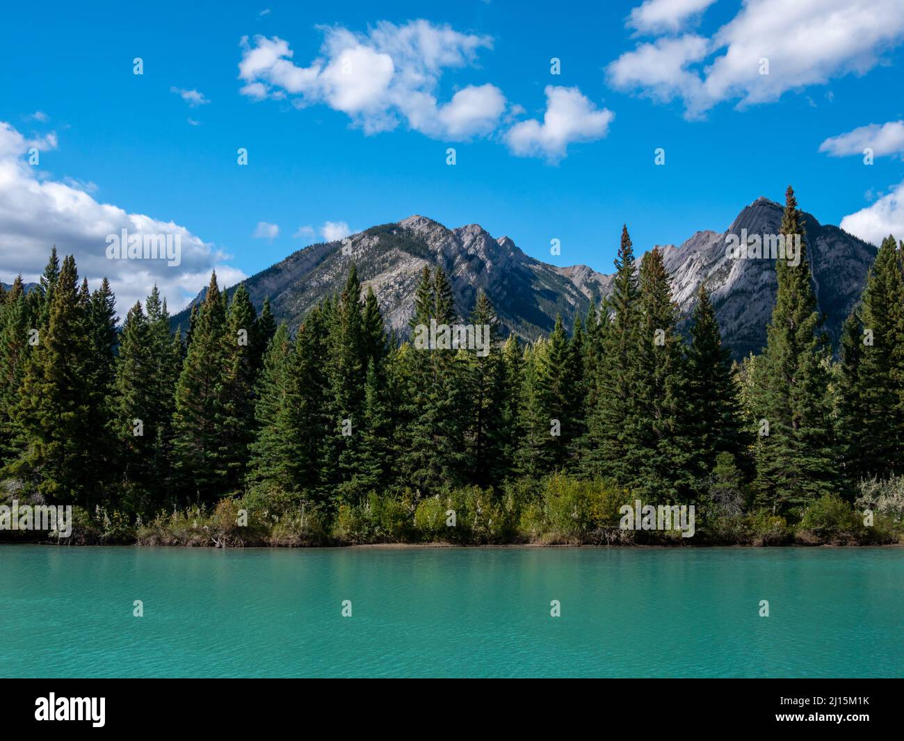 Stadt Banff, Bow River Trail Landschaft im Sommer sonnigen Tag. Banff National Park, Kanadische Rockies, Alberta, Kanada. Mount Rundle im Hintergrund. Stockfoto