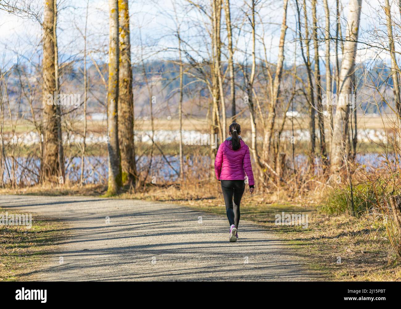 Junge Frau geht alleine auf einem Waldweg. Trainieren in einem Park. Straßenfoto, selektiver Fokus. Stockfoto