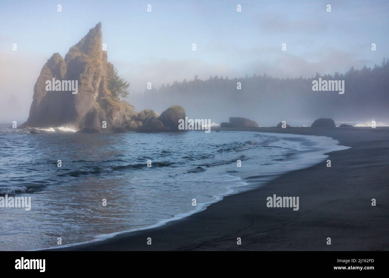 Strand nördlich von Toleak Point an der Olympischen Küste von Washington. Stockfoto