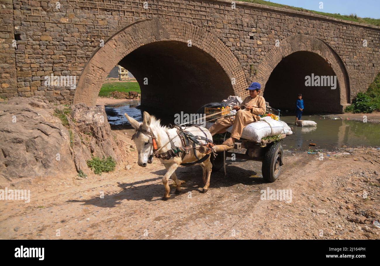 ISLAMABAD, CAPTAL, Pakistan. 22. März 2022. Der Weltwassertag wird auf der ganzen Welt, einschließlich Pakistan, gefeiert. Jedes Jahr, um die Bedeutung des Wassers hervorzuheben. Der Tag begann 1992 auf Empfehlung der Konferenz der Vereinten Nationen über „Umwelt und Entwicklung“ in Rio de Janeiro, Brasilien. Seitdem wird der Tag seit 1993 jedes Jahr am 22. März beobachtet. (Bild: © Raja Imran/Pacific Press via ZUMA Press Wire) Stockfoto