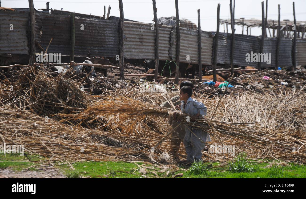 ISLAMABAD, CAPTAL, Pakistan. 22. März 2022. Der Weltwassertag wird auf der ganzen Welt, einschließlich Pakistan, gefeiert. Jedes Jahr, um die Bedeutung des Wassers hervorzuheben. Der Tag begann 1992 auf Empfehlung der Konferenz der Vereinten Nationen über „Umwelt und Entwicklung“ in Rio de Janeiro, Brasilien. Seitdem wird der Tag seit 1993 jedes Jahr am 22. März beobachtet. (Bild: © Raja Imran/Pacific Press via ZUMA Press Wire) Stockfoto