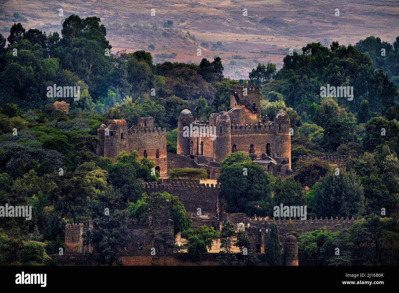 Luftaufnahme auf der Burg Fasilides in Gondar in Äthiopien. Grüne Bäume mit altem Gebäude in der afrikanischen Landschaft. Äthiopien, Gondër Royal Enclosure (Fasil Gheb Stockfoto