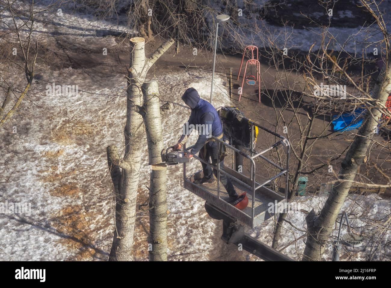 Nicht erkennbarer Hausangestellter sägt Bäume im Hof von mehrstöckigen Gebäuden. Stockfoto