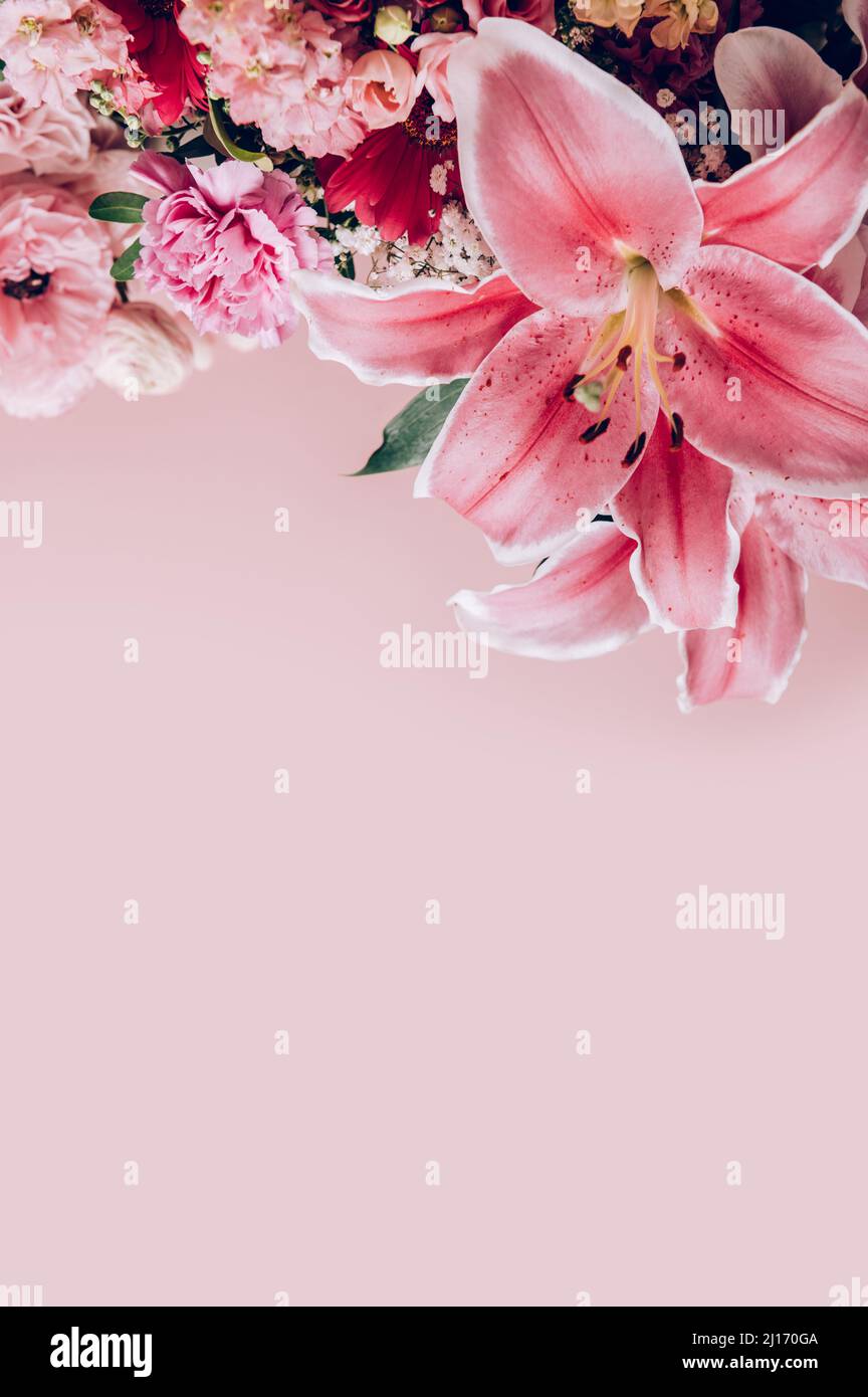 Viele verschiedene Blumen Stockfoto