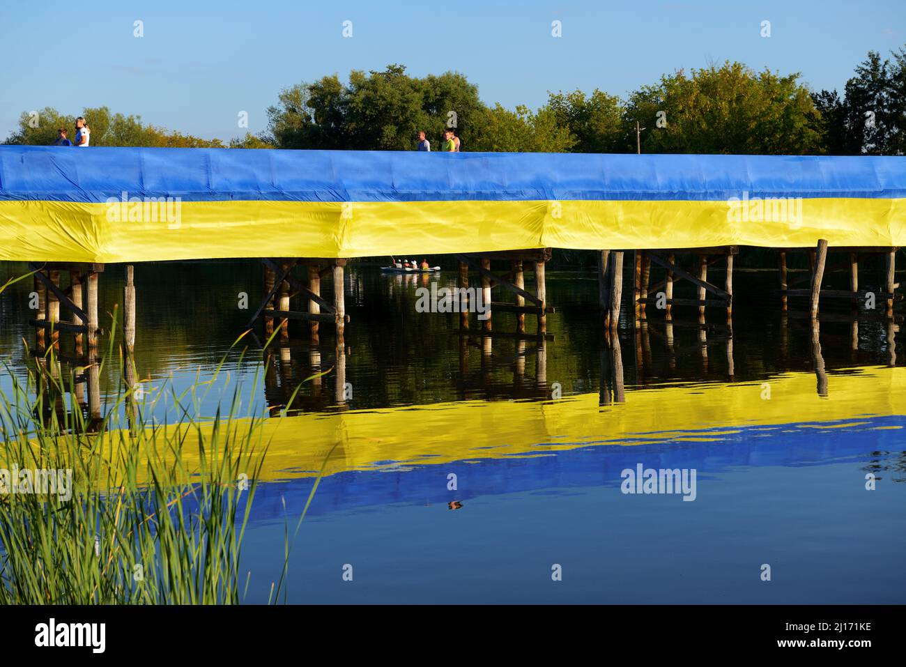 BILA ZERKVA, UKRAINE - 22. AUGUST: Blick auf die ukrainische Nationalflagge, die dem ukrainischen Unabhängigkeitstag gewidmet ist und auf einer Holzbrücke über Ros riv liegt Stockfoto