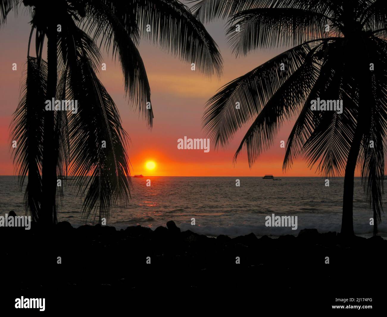 Silhouette von Palmen bei Sonnenuntergang mit Ozean im Hintergrund bei Kona, Hawaii auf der Big Island Stockfoto