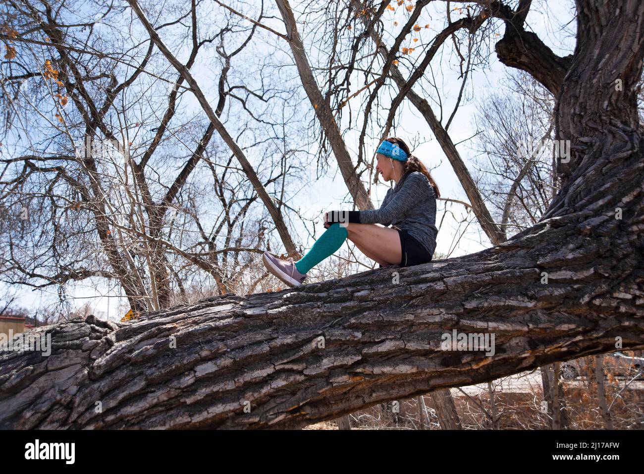 Eine Frau macht eine Pause von ihrer Joggingübung und ruht in einem krummen alten Baumwollbaum in Santa Fe, New Mexico. Stockfoto