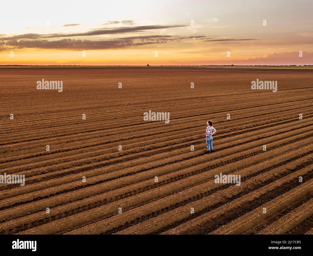 Landwirt, der bei Sonnenuntergang auf einem Ackerbauernhof steht Stockfoto
