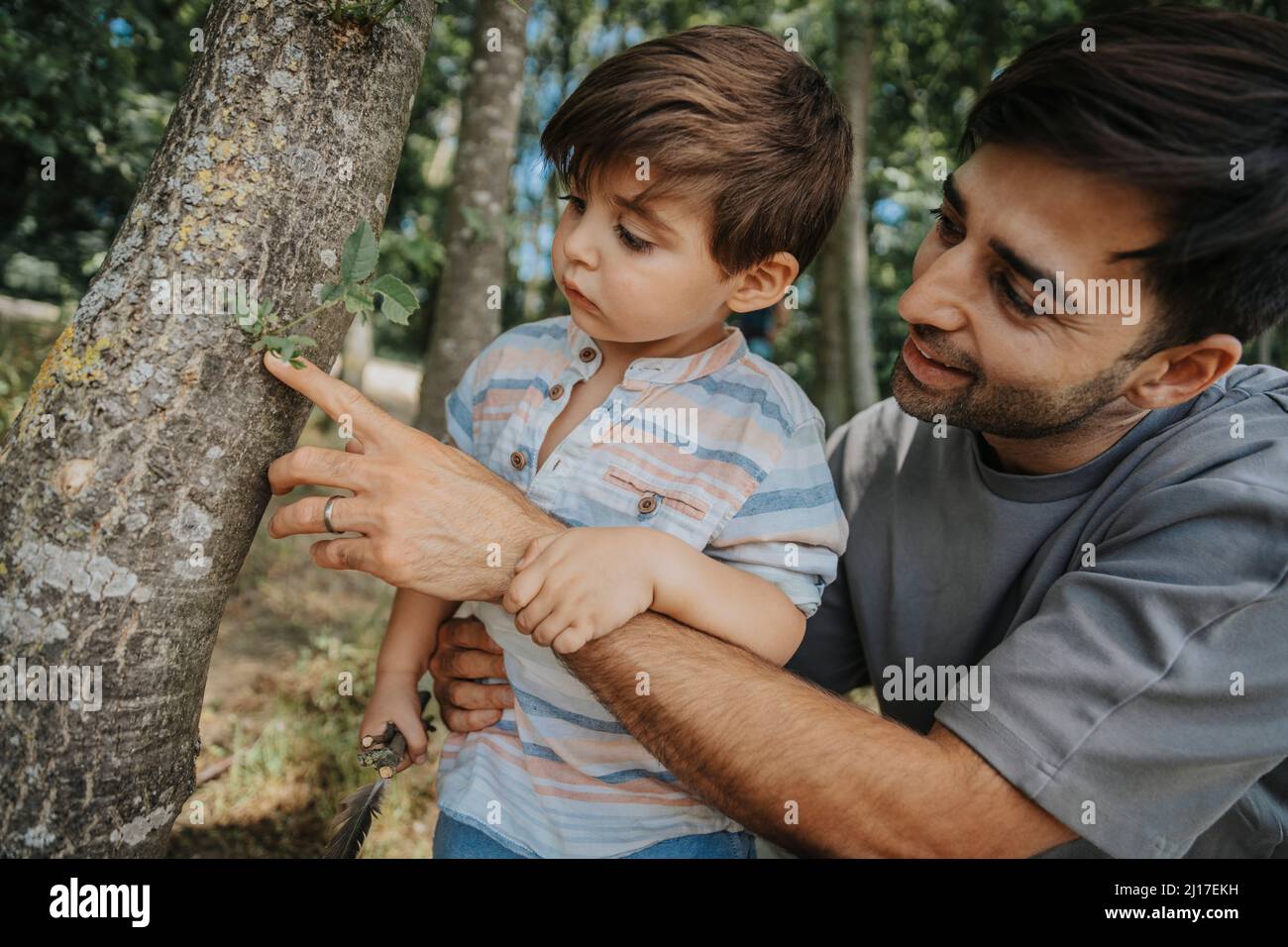 Vater und Sohn Blick auf Baum Stockfoto