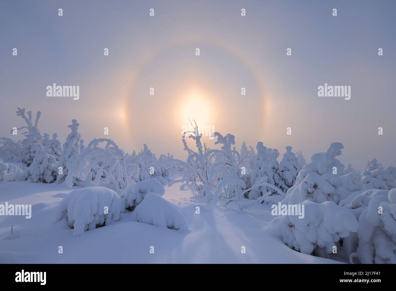 Halo, das durch den Sonnenaufgang über der schneebedeckten Landschaft in den Erzgebirgen entsteht Stockfoto