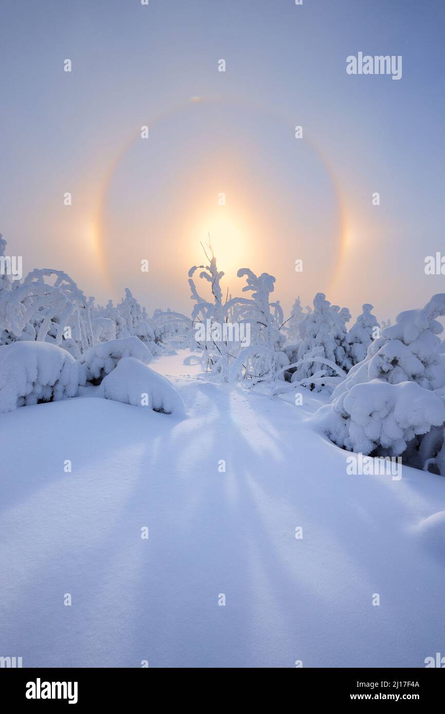 Halo, das durch den Sonnenaufgang über der schneebedeckten Landschaft in den Erzgebirgen entsteht Stockfoto