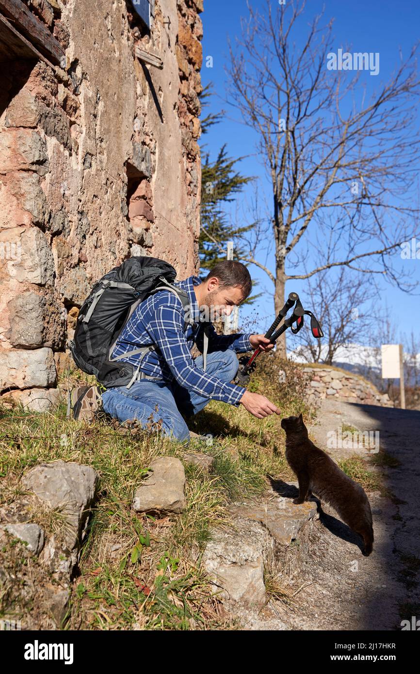 Mann mit Rucksack, der an einem sonnigen Tag mit der Straßenkatze spielt Stockfoto