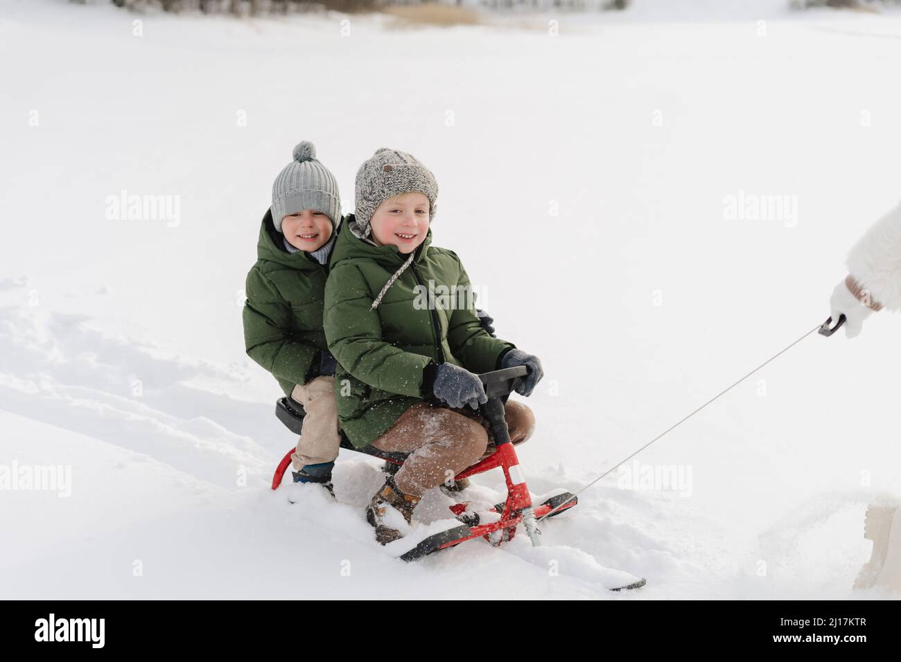 Lächelnde Brüder sitzen auf der Rodel und genießen den Winter Stockfoto