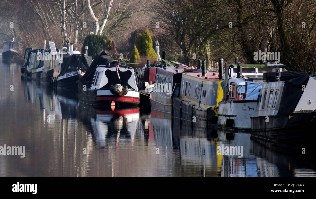 Foto Trent und Mersey Canal eine britische Wasserwege Canal in der Nähe von Tixall in Staffordshire zeigt eine leichte Formen der Natur gespiegelt auf der Oberfläche von w Stockfoto