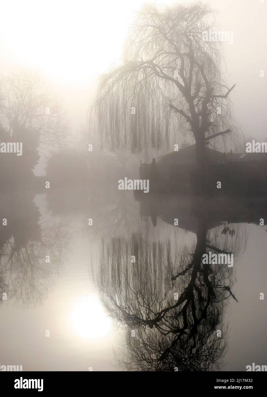 Misty am frühen Morgen auf den Trent und Mersey Canal eine britische Wasserwege Canal in der Nähe von Handsacre in Staffordshire, gedämpftes Licht Formen der Natur, so Stockfoto