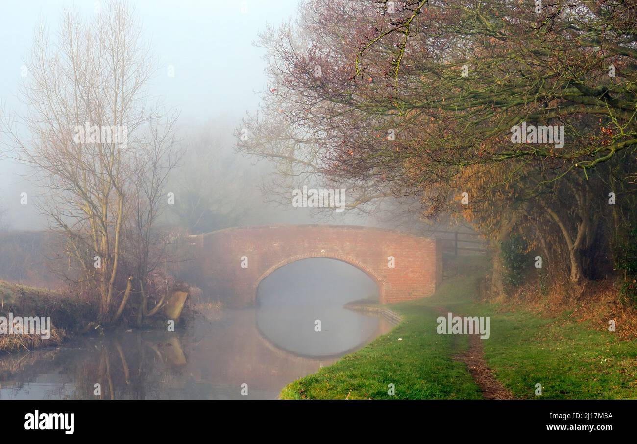 Misty am frühen Morgen auf den Trent und Mersey Canal eine britische Wasserwege Canal in der Nähe von Handsacre in Staffordshire, gedämpftes Licht Formen der Natur, so Stockfoto