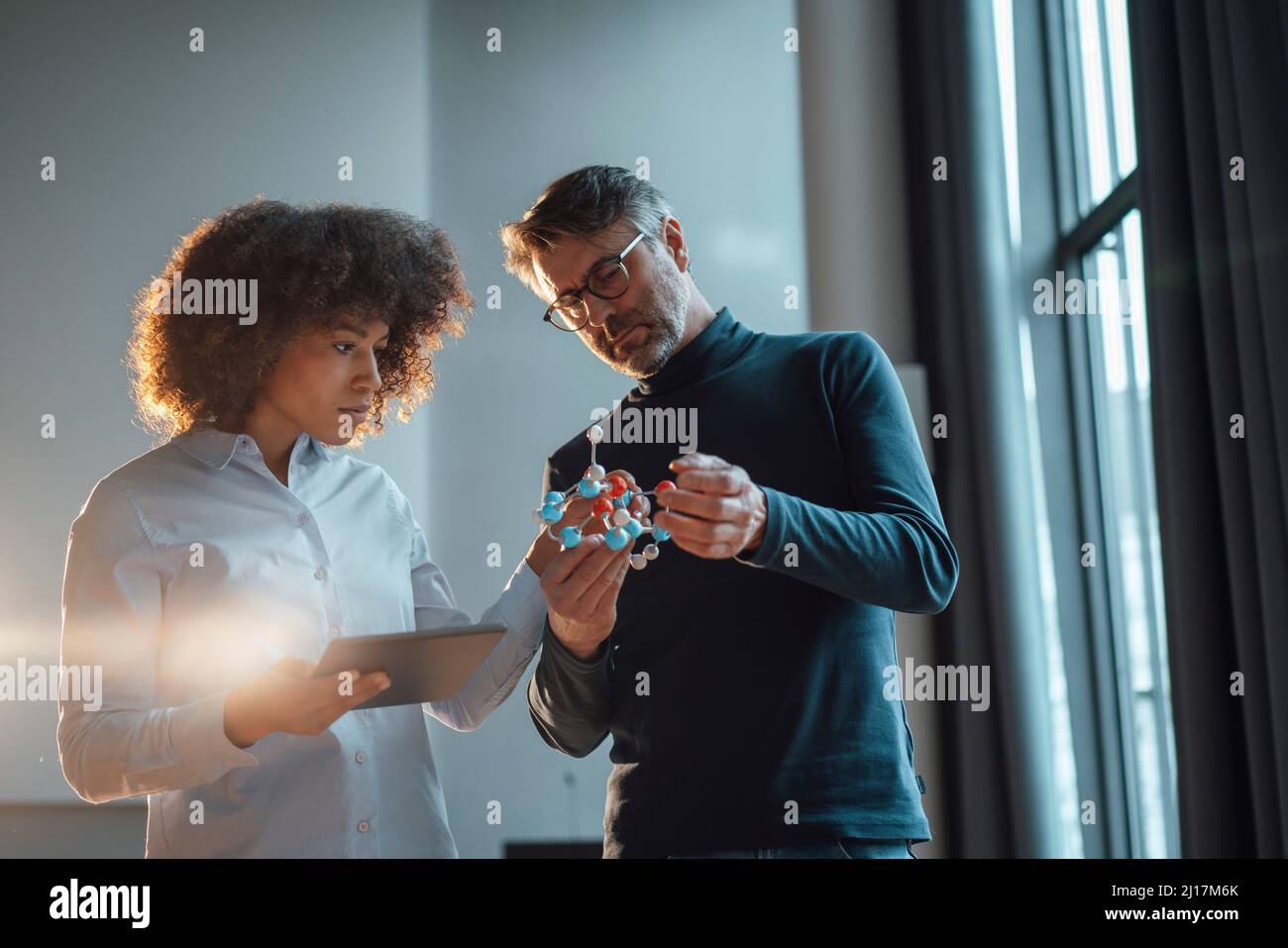 Kollegen aus dem Unternehmen diskutieren am Arbeitsplatz über ein Musterobjekt Stockfoto