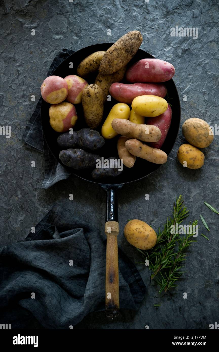 Studio Schuss Bratpfanne mit verschiedenen Sorten von rohen Kartoffeln Stockfoto