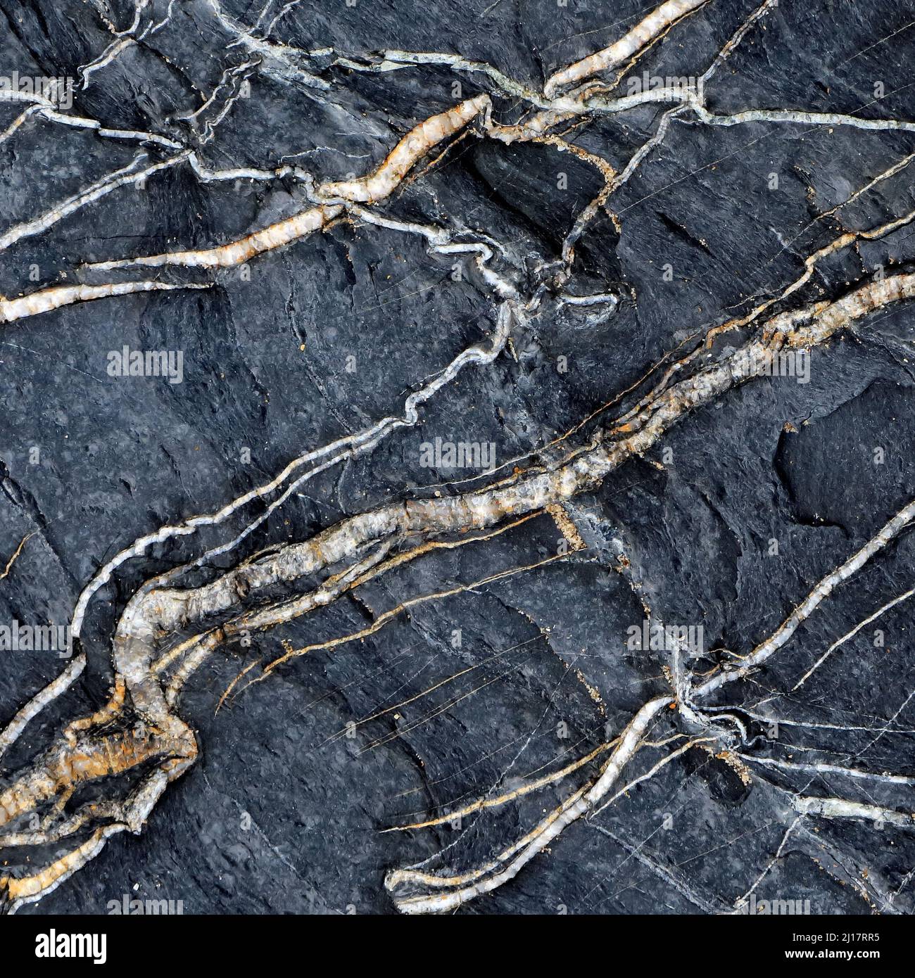 Naturfoto der Meeresgeologie, das zufällige Muster, Textur und Form zeigt, mit einer subtilen Farbpalette in einem halbabstrakten Stil auf Cardigan Bay Stockfoto