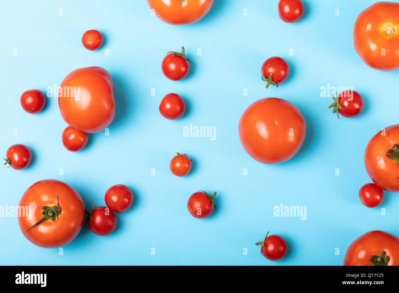Blick von oben auf frische Tomaten, die auf blauem Hintergrund verstreut sind Stockfoto