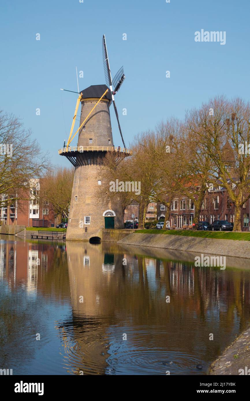 Eine Windmühle in schiedam in Holland mit einem Fluss davor Stockfoto