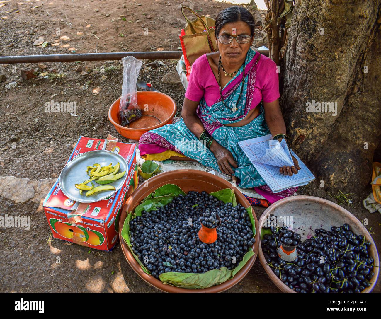 Eine alte indische Großmutter verkauft frische schwarze aktuelle Früchte unter dem Baum und wartet auf Kunden Stockfoto